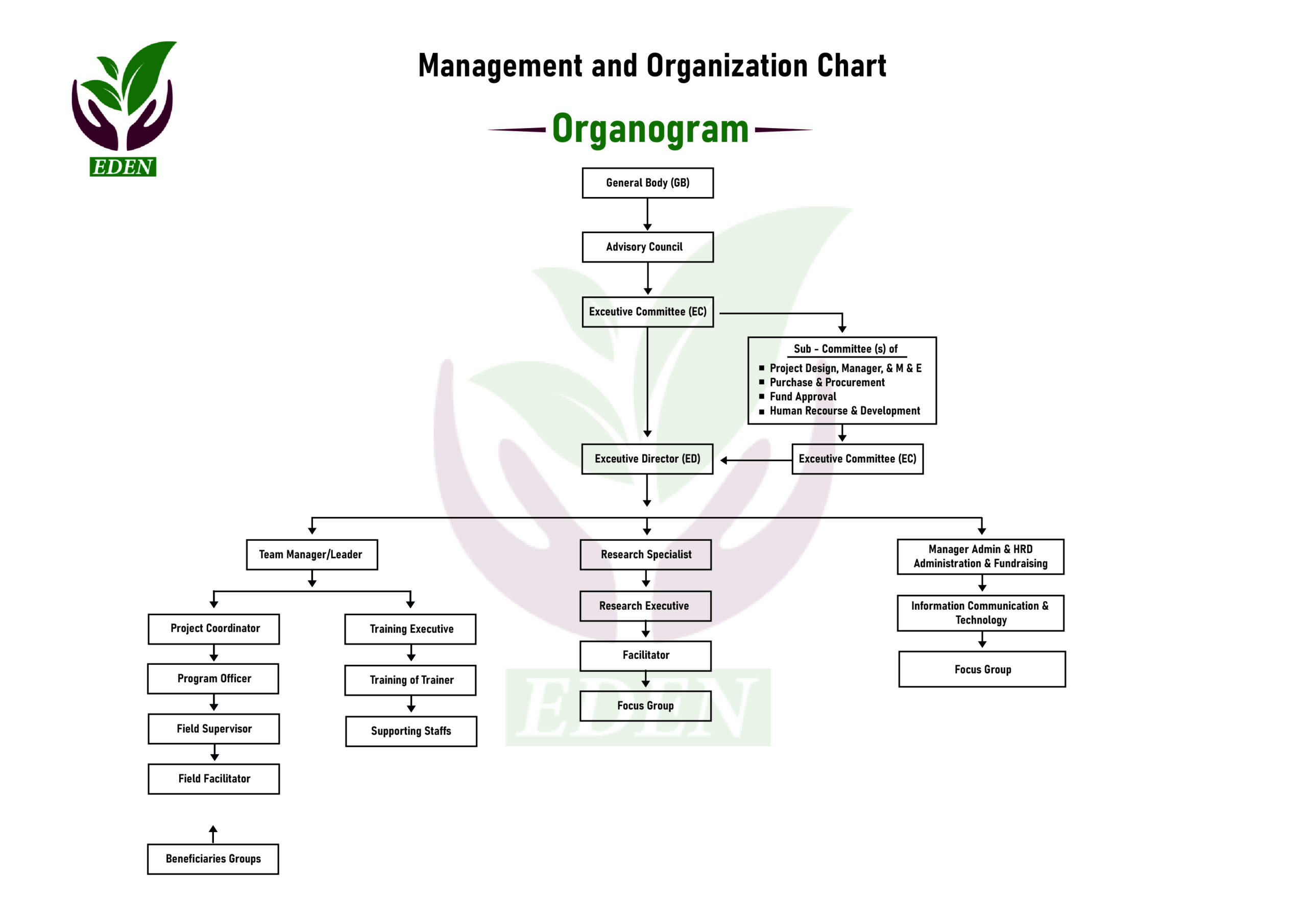 EDEN Organogram